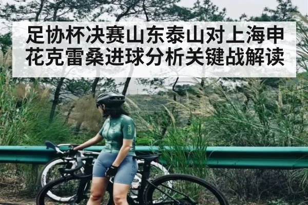 足协杯决赛山东泰山对上海申花克雷桑进球分析关键战解读
